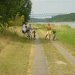 Fahrradtour am Nordostseekanal