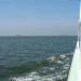 Tagesfahrt nach Amrum