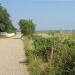 Tagesfahrt nach Amrum