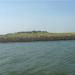 Tagesfahrt nach Amrum