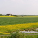 die nächsten 4 Bilder die Landsc...