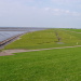Eiderstedt