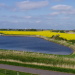 Eiderstedt